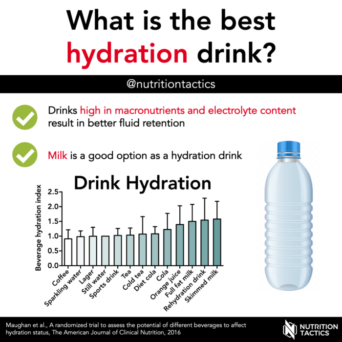 Best beverages for maintaining adequate hydration