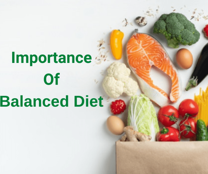 Importance of a balanced diet for overall health